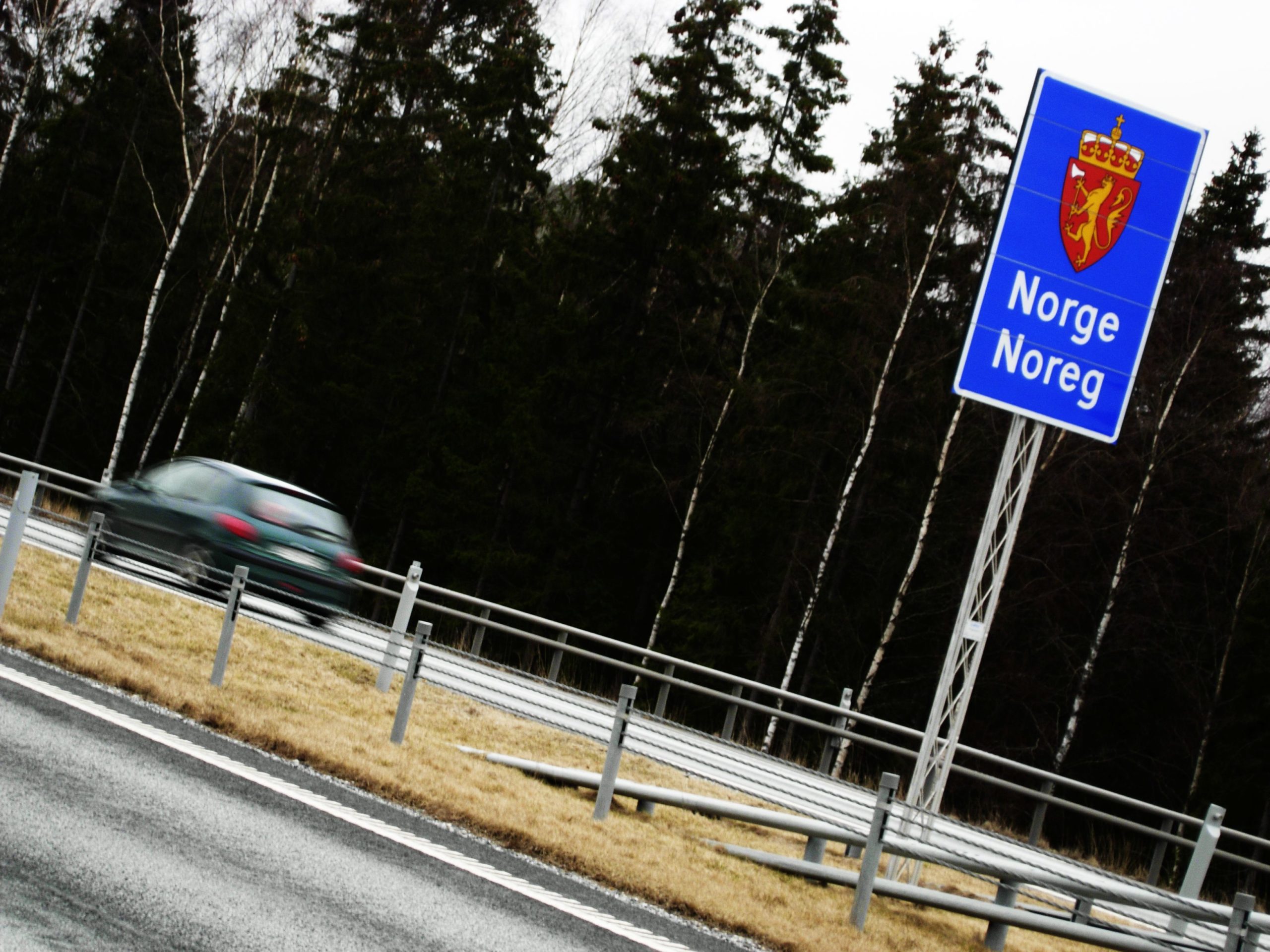 Kva  er  vitsen  med  nynorsk?